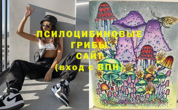 соль курить ск Арсеньев